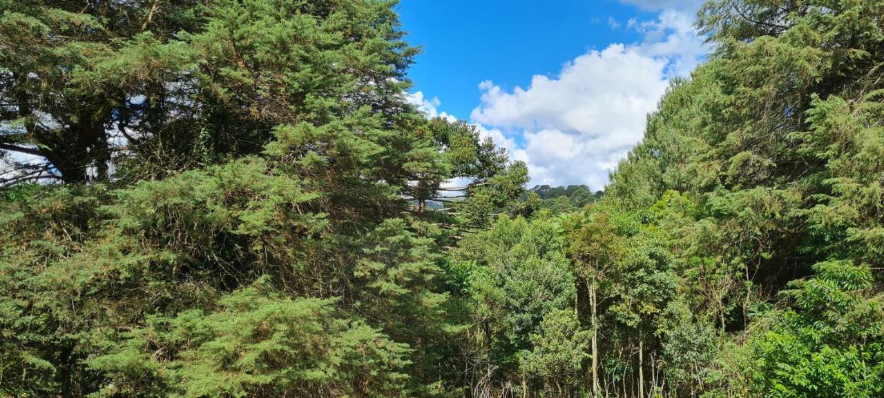 Arado 313 Suites Monte Verde  Exteriér fotografie